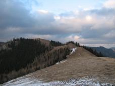 Klik za večjo sliko